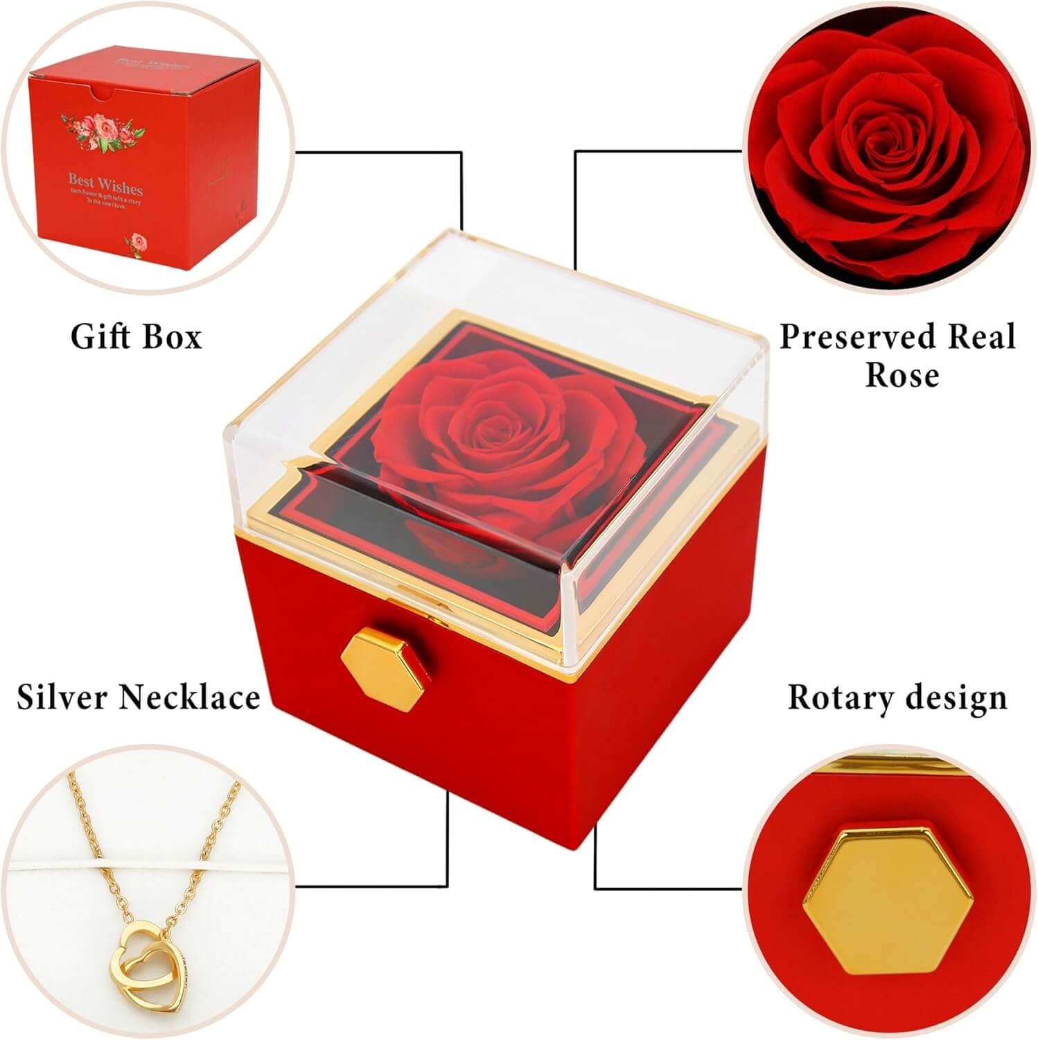 Eternal Rose with Engraved Necklace & Real rose