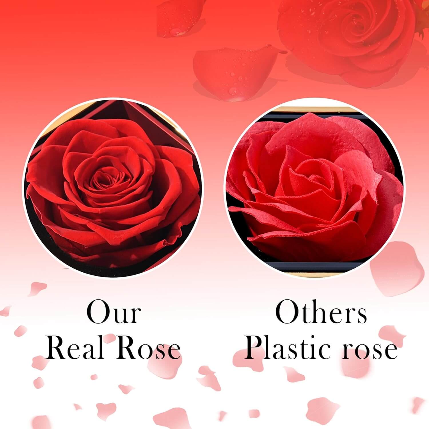 Eternal Rose with Engraved Necklace & Real rose