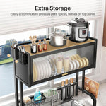 Dish Drying Rack with Storage Organizer