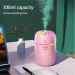 3in1 Portable Mini Humidifier | 300ml - Plan’H